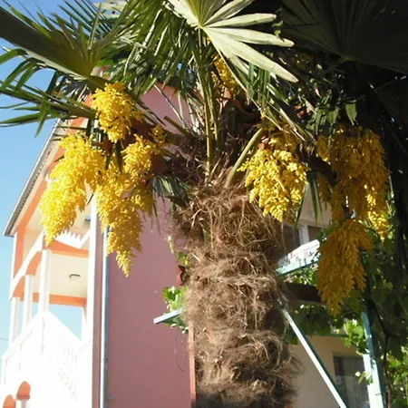 Apartment With 3 Bedrooms In Pula, With Enclosed Garden And Wifi - 1 K